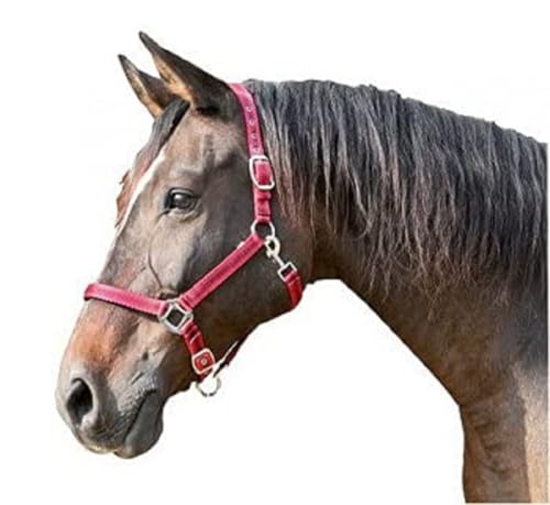 Kerbl Halfter Mustang 2-Fach verstellbar, Rot/Schwarz, 3, 321971 Kerbl Halfter Mustang 2-Fach verstellbar, Rot/Schwarz, 3, 321971 von Covalliero