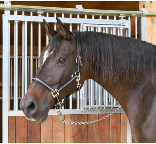 Kerbl Halfter Mustang 2-Fach verstellbar, Schwarz/Silber, 3, 321970 Kerbl Halfter Mustang 2-Fach verstellbar, Schwarz/Silber, 3, 321970 von Covalliero