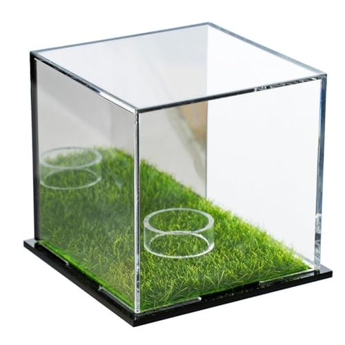 Cpolebev Golfball-Vitrine, Quadratische Golfball-Vitrine, Gedenkbox, Aufbewahrungsbox mit Acrylspiegel von Cpolebev