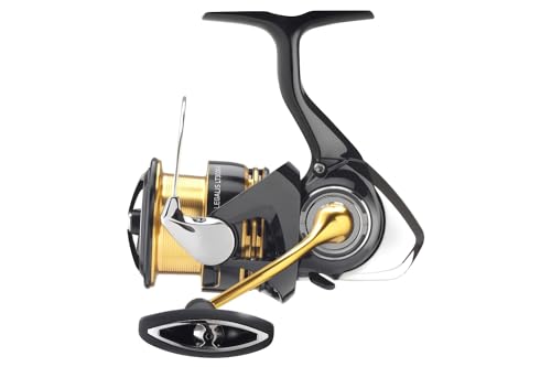 DAIWA 23 Legalis LT1000D(U), Spinn-Angelrolle, Frontbremse, 10435-100 von Daiwa