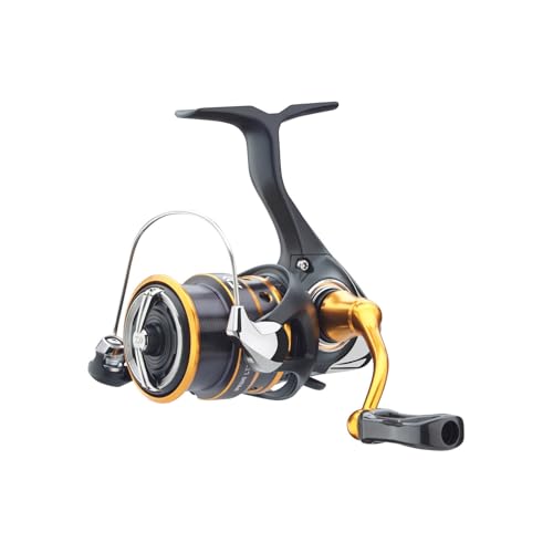 DAIWA 24 IPRIMI LT 2000S-P, Forellen Angelrolle, Spinnrolle, Frontbremse, 10180-200 DAIWA 24 IPRIMI LT 2000S-P, Forellen Angelrolle, Spinnrolle, Frontbremse, 10180-200 von DAIWA