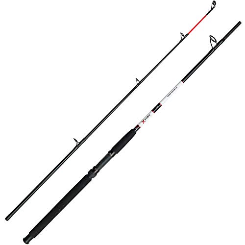 DAM Angelrute Meeresrute Bootsrute - Aqua-X Boat 2,10m 30lb 200-350g DAM Angelrute Meeresrute Bootsrute - Aqua-X Boat 2,10m 30lb 200-350g von DAM
