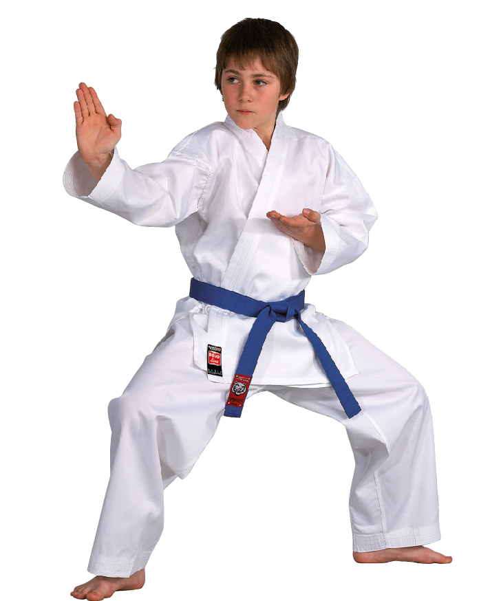DANRHO Dojo-Line KARATE-Gi DANRHO Dojo-Line KARATE-Gi von DANRHO