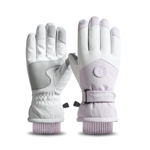 DCNIYT Wasserdichte Skihandschuhe für Damen, Winter, Touchscreen, Schneehandschuhe, Fleece-gefüttert, warme Thermohandschuhe für Snowboard, Skifahren, Laufen (C) von DCNIYT