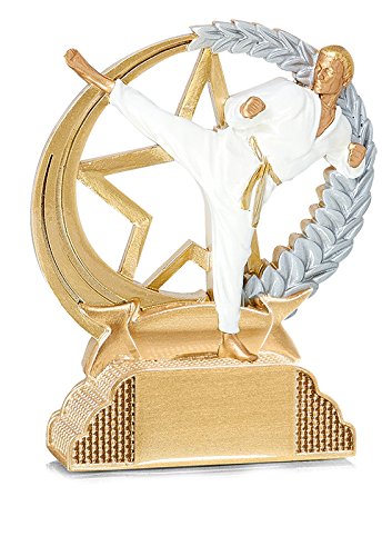 DEPICE Erwachsene Pokal Kampfsport trophäe, Silber/Gold, 13cm DEPICE Erwachsene Pokal Kampfsport trophäe, Silber/Gold, 13cm von DEPICE