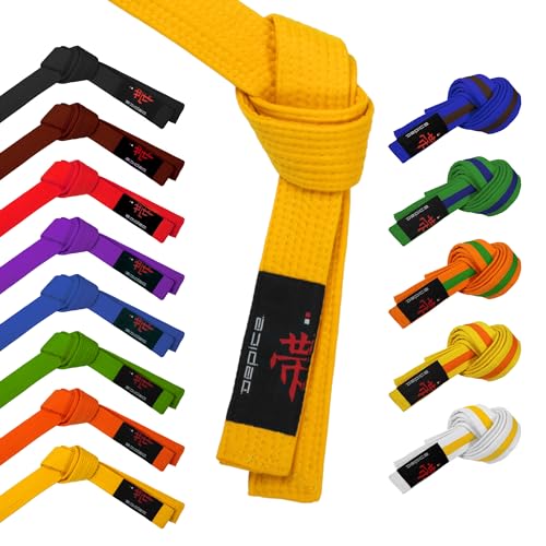 DEPICE Kampfsport Gürtel – Reine Baumwolle mit 7 Reihen kraftvoller Poly-Nähte, violett/lila, 200 cm DEPICE Kampfsport Gürtel – Reine Baumwolle mit 7 Reihen kraftvoller Poly-Nähte, violett/lila, 200 cm von DEPICE
