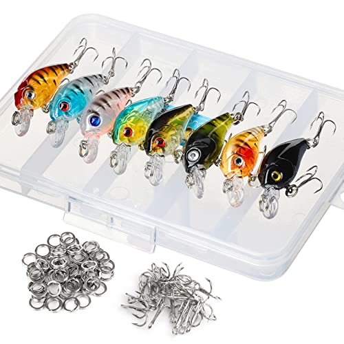 DONQL Angelköder-Set, Elritze-Köder-Set, Wobbler, Kurbelköder mit Haken, Harte Druckknöpfe, Köder für Salzwasser, Süßwasser, Forelle, Barsch, Lachsangeln (8 Stück – 4,5 cm/4 g) DONQL Angelköder-Set, Elritze-Köder-Set, Wobbler, Kurbelköder mit Haken, Harte Druckknöpfe, Köder für Salzwasser, Süßwasser, Forelle, Barsch, Lachsangeln (8 Stück – 4,5 cm/4 g) von DONQL