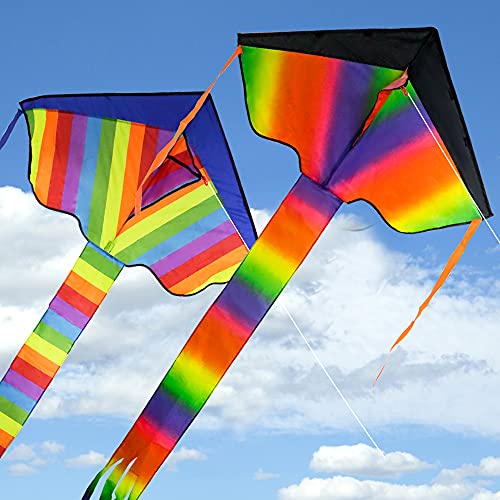 DONQL Pack of 2 Drachen Flugdrachen Flight Kite with Long Colourful Tail with 100 m Kite Line Kite Kit Wind Kite Single Line Kite Stunt Kite Adult von DONQL