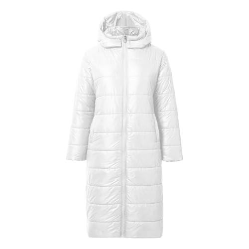 Damen Steppmantel Lang, Steppjacke Damen Lang Leicht Daunenmantel Glänzende Daunenjacke Mit Kapuze - Warm Steppmantel Gefüttert Puffer Jacke Frauen Zipper Winterjacke Lang Skijacke von DRALOFAO