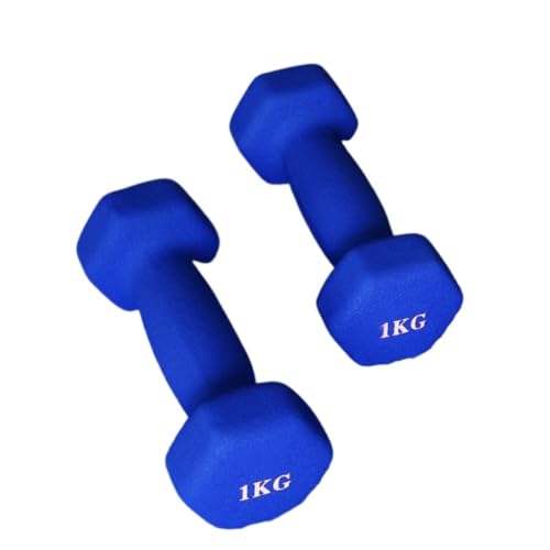 DTQBYOY Unisex-Handhanteln Dip-Hanteln Aus Kunststoff for Damen-Fitness-Heimgeräte, Solide, Kleine Hanteln Aus Reinem Eisen for Herren-Yoga-Arme Platz sparen(Blue,8kg) von DTQBYOY