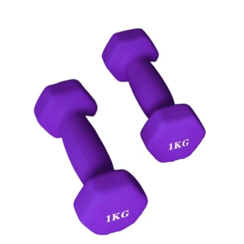 DTQBYOY Unisex-Handhanteln Dip-Hanteln Aus Kunststoff for Damen-Fitness-Heimgeräte, Solide, Kleine Hanteln Aus Reinem Eisen for Herren-Yoga-Arme Platz sparen(Purple,4kg) von DTQBYOY