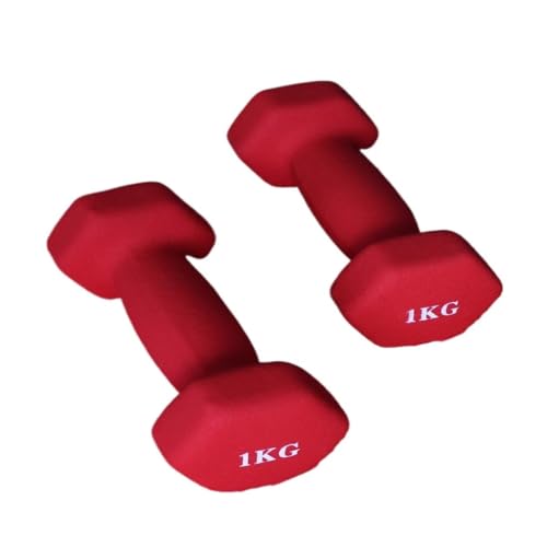 DTQBYOY Unisex-Handhanteln Dip-Hanteln Aus Kunststoff for Damen-Fitness-Heimgeräte, Solide, Kleine Hanteln Aus Reinem Eisen for Herren-Yoga-Arme Platz sparen(Red,10kg) von DTQBYOY