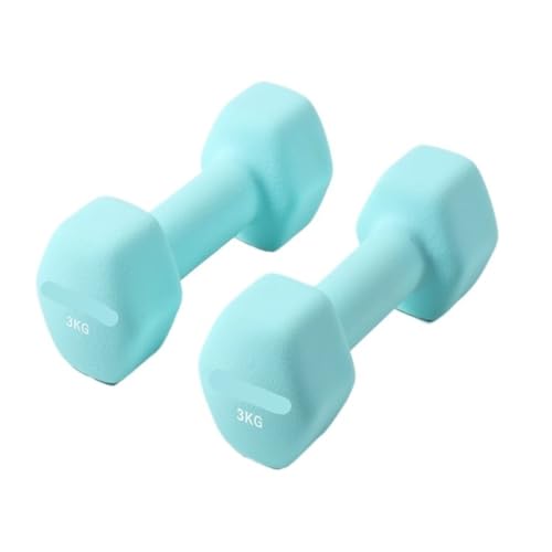 DTQBYOY Unisex-Handhanteln Hanteln for Männer Und Frauen, Heimfitnessgeräte, Armmuskeltraining, Sechseckige Hanteln Aus Reinem Eisen Platz sparen(4kg) von DTQBYOY