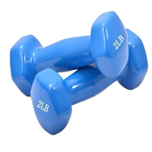 DTQBYOY Unisex-Handhanteln Paar Hanteln for Muskeltraining und Training, Heimfitnessgerät for Anfänger und Profis Platz sparen(Blue,1.5kg) von DTQBYOY