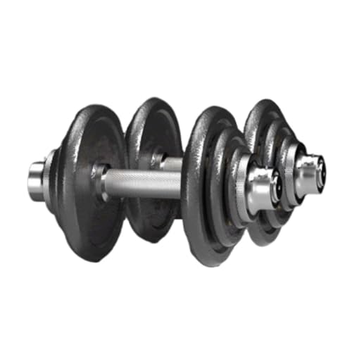 Kurzhantel Hantel Aus Reinem Eisen, Farbe For Herren, Schlafsaal, Fitnessgeräte, Gerade Stange, Verstellbare Hantel, Abnehmbar Dumbbells(30kg) von DTQBYOY