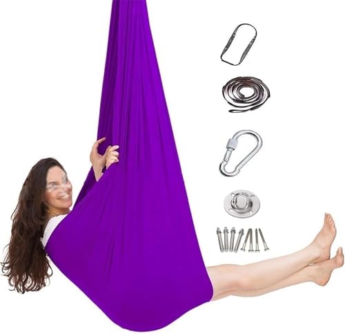 Sensorische Schaukel, 150 * 280CM Yoga Vertikaltuch Low Stretch Aerial Silks Yogatuch Zum Aufhängen Yogagurt Trapez Schaukel Yoga Hängematte Set Für Erwachsene(Purple,150x280CM/59x110in) von DTREEL