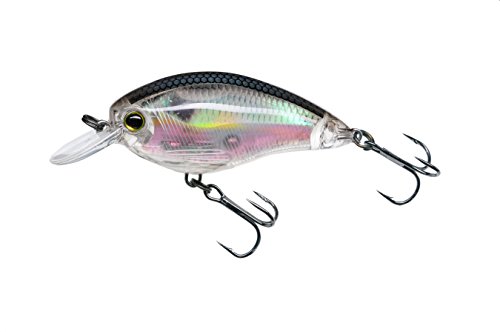 Yo-Zuri 3DR Schwebeköder, Flache Kurbel, 5,1 cm, Real Gizzard Shad Yo-Zuri 3DR Schwebeköder, Flache Kurbel, 5,1 cm, Real Gizzard Shad von DUEL