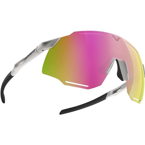 DYNAFIT Unisex Alpine Pro 1-3 Sportbrille, nimbus-black out, OneSize von DYNAFIT