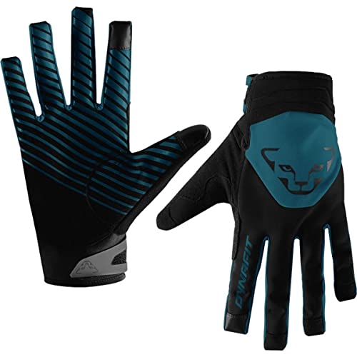 Dynafit Radical 2 Softshell Handschuhe, Unisex, Frost/0910 (blau), L von DYNAFIT