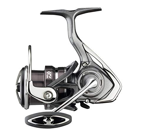 DAIWA 20 Exceler LT 1000 von DAIWA