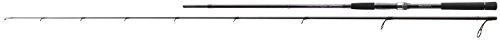 DAIWA R'Nessa Spinning 2,40m 10-30g Spinnrute DAIWA R'Nessa Spinning 2,40m 10-30g Spinnrute von Daiwa
