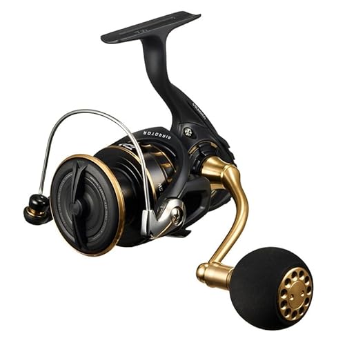 DAIWA Shore Jigging Spinnrolle 23BG SW 4000D-CXH DAIWA Shore Jigging Spinnrolle 23BG SW 4000D-CXH von Daiwa