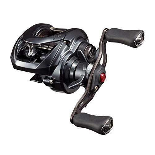 Daiwa (Köders Spule Tattoo La SV TW 103SHL 2020 Modell Daiwa (Köders Spule Tattoo La SV TW 103SHL 2020 Modell von Daiwa