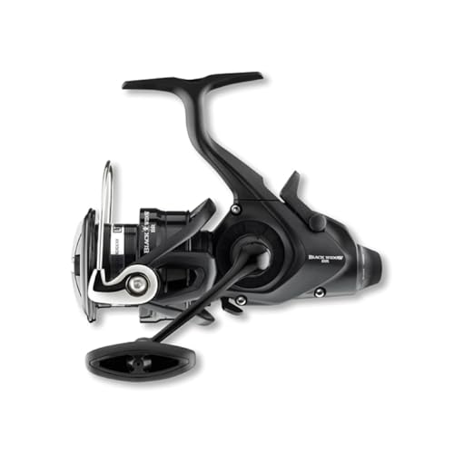 Daiwa 19 Black Widow BR LT 4000-C Daiwa 19 Black Widow BR LT 4000-C von Daiwa