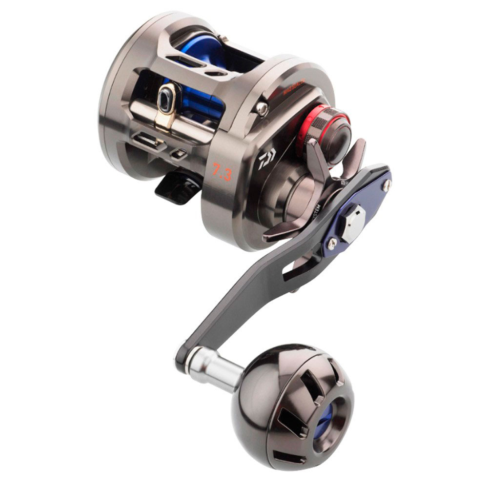 Daiwa 200 Shl Saltiga Bay Jigging Reel Grau,Silber Daiwa 200 Shl Saltiga Bay Jigging Reel Grau,Silber von Daiwa
