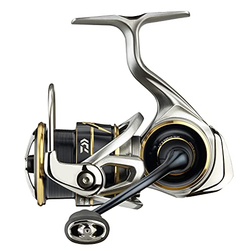 DAIWA 20 Airity LT 3000-CXH von DAIWA