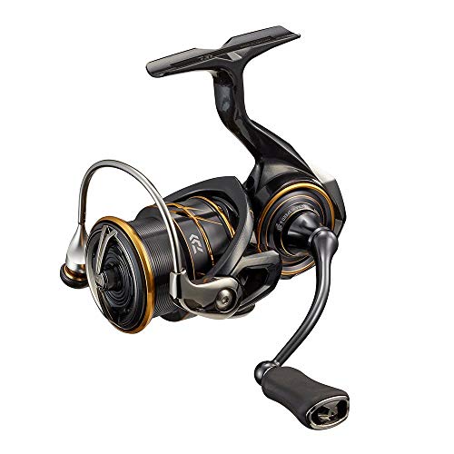 Daiwa Angelrolle 21 Caldia Lt Spinnageln Bolo Feederangeln Grund Meer Forelle See Fluss Daiwa Angelrolle 21 Caldia Lt Spinnageln Bolo Feederangeln Grund Meer Forelle See Fluss von Daiwa