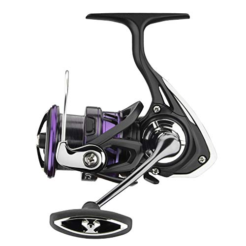 Daiwa Angelrolle Spinnrolle Stationärrolle - Prorex X LT3000-CXH Daiwa Angelrolle Spinnrolle Stationärrolle - Prorex X LT3000-CXH von Daiwa