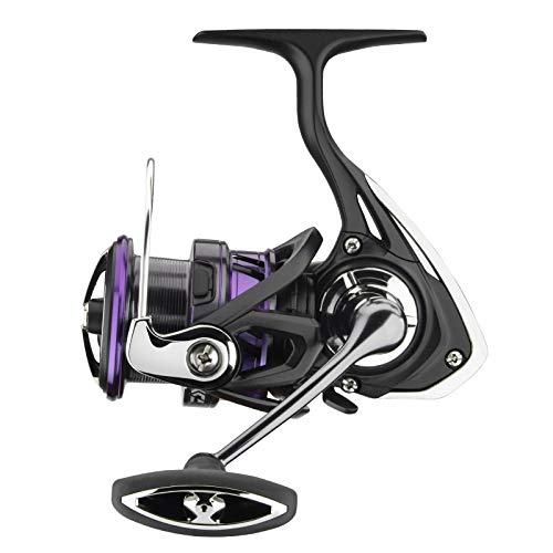 Daiwa Angelrolle Spinnrolle Stationärrolle - Prorex X LT3000-CXH von Daiwa