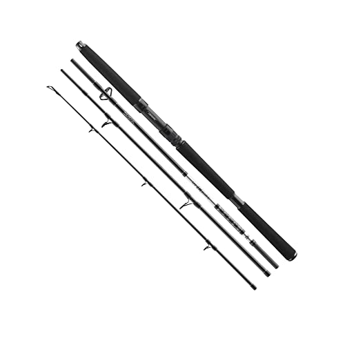 Daiwa BG Offshore Travel Pilk 2,40m 40-125g Reiserute von Daiwa