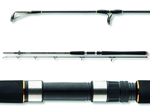 Daiwa BG Pilk 3,00m 50-165g Bootsrute Meeresrute von Daiwa