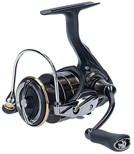 DAIWA 20 Ballistic EX LT 2500D DAIWA 20 Ballistic EX LT 2500D von Daiwa
