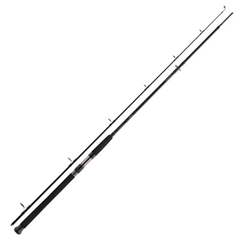 Daiwa Exceler CF Catfish Spin 2.40m -185g von Daiwa