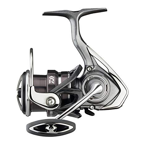 Daiwa Exceler LT 2500, 150m/ 0,20mm - 5.3:1-205g | Daiwa Exceler LT 2500, 150m/ 0,20mm - 5.3:1-205g | von Daiwa