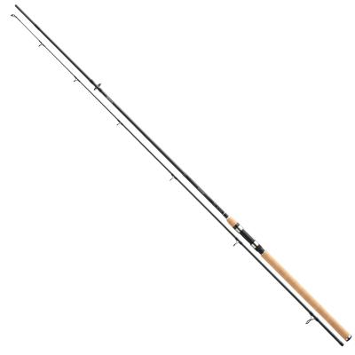 Daiwa Exceler Spin 2.40m 30-70g von Daiwa