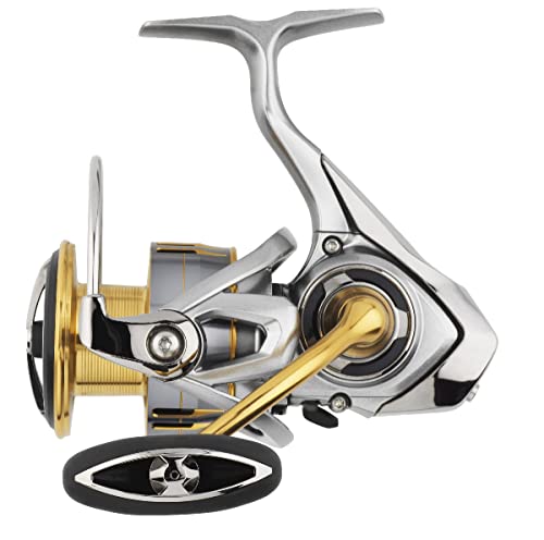 Daiwa Freams LT 1000S Rolle - Spinnrolle zum leichten Spinnfischen, Forellenrolle zum Ultra Light Angeln, Raubfischrolle fürs Süßwasser & Salzwasser, Angelrolle für Forelle & Barsch von Daiwa