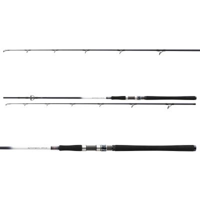 Daiwa Grandwave 2.40m 150-300g von Daiwa