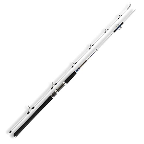 Daiwa Grandwave Pilk 2.40m 80-150g Fishing Rod für Jiggen Erwachsene Daiwa Grandwave Pilk 2.40m 80-150g Fishing Rod für Jiggen Erwachsene von Daiwa
