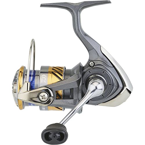 Daiwa Unisex – Erwachsene Laguna LT Spinnrolle, Gold, 2000 Daiwa Unisex – Erwachsene Laguna LT Spinnrolle, Gold, 2000 von Daiwa
