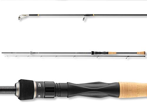 Daiwa Luvias Jigger 2.40m 8-35g von Daiwa