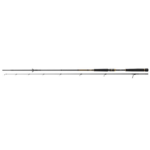 Daiwa Morethan Branzino AGS 2.74m 14-42g von Daiwa