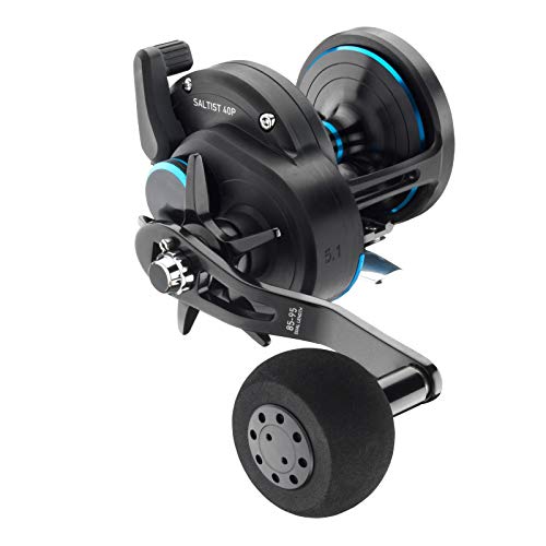 Daiwa Saltist 40P rechtshand Multirolle Norwegen Daiwa Saltist 40P rechtshand Multirolle Norwegen von Daiwa