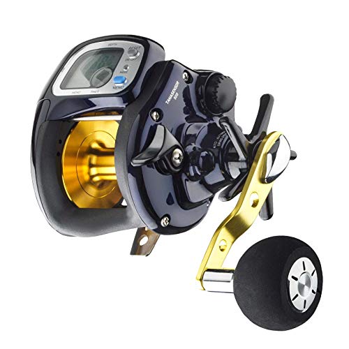 Daiwa Multirolle Tanasensor 500 Rechtshand Daiwa Multirolle Tanasensor 500 Rechtshand von Daiwa