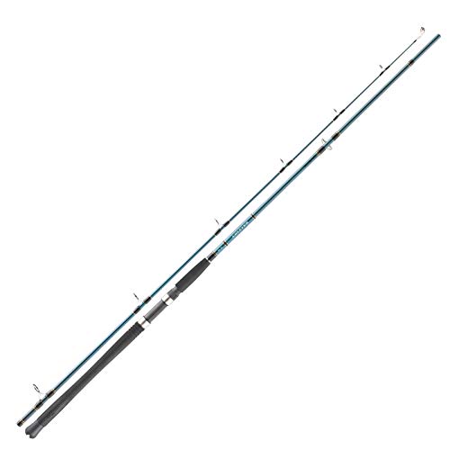 Daiwa Pilkrute - Saltist Sea 2,40m 80-200g Daiwa Pilkrute - Saltist Sea 2,40m 80-200g von Daiwa