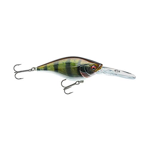Daiwa Prorex Crank BT80DR live Perch Wobbler Daiwa Prorex Crank BT80DR live Perch Wobbler von Daiwa