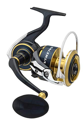 Daiwa SALTIGA G Spinning - Salzwasserrolle Daiwa SALTIGA G Spinning - Salzwasserrolle von Daiwa
